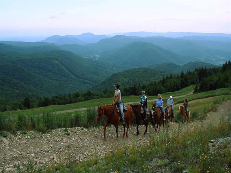 Soaring Eagle Lodge Сноушу Екстер'єр фото